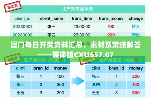 澳门每日开奖资料汇总，素材及策略解答——媒体版CXU657.07