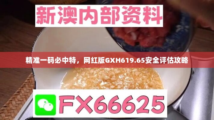 精准一码必中特，网红版GXH619.65安全评估攻略