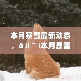 本月暴雪最新动态，你准备迎接雪中挑战了吗？