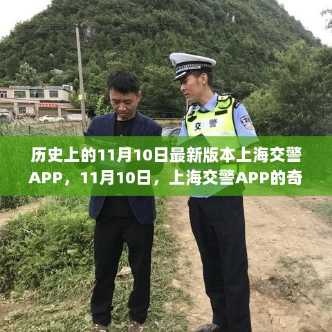 上海交警APP的奇妙旅行，11月10日探索自然，寻找内心的平静