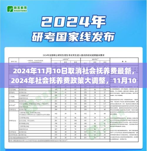 全面取消社会抚养费政策，解读与影响分析（2024年11月10日起）