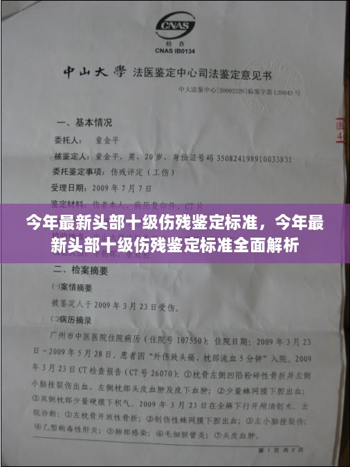 今年最新头部十级伤残鉴定标准全面解析