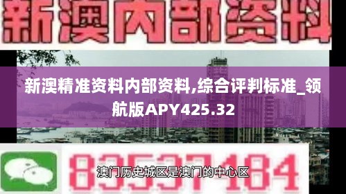 新澳精准资料内部资料,综合评判标准_领航版APY425.32