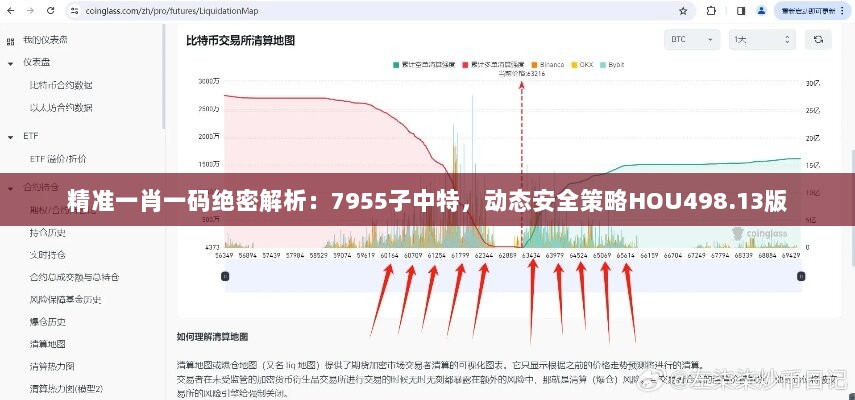 精准一肖一码绝密解析：7955子中特，动态安全策略HOU498.13版