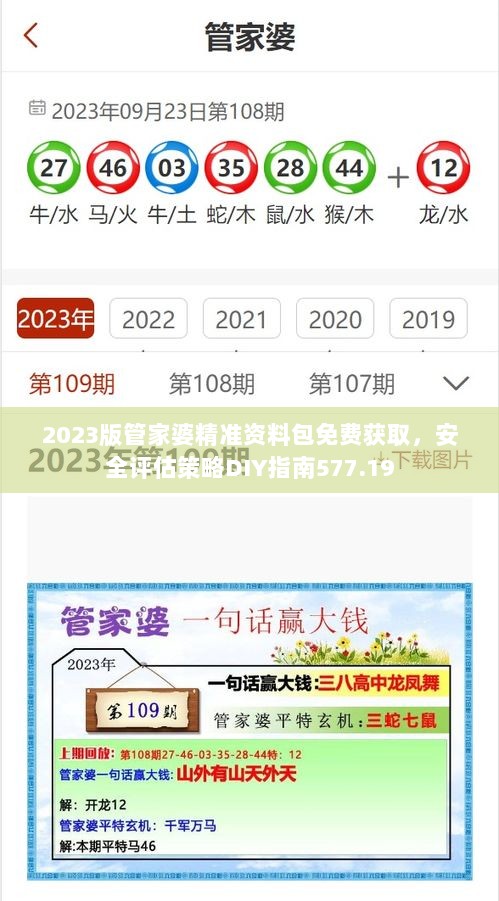 2023版管家婆精准资料包免费获取，安全评估策略DIY指南577.19