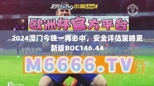 2024澳门今晚一肖必中，安全评估策略更新版BOC146.44