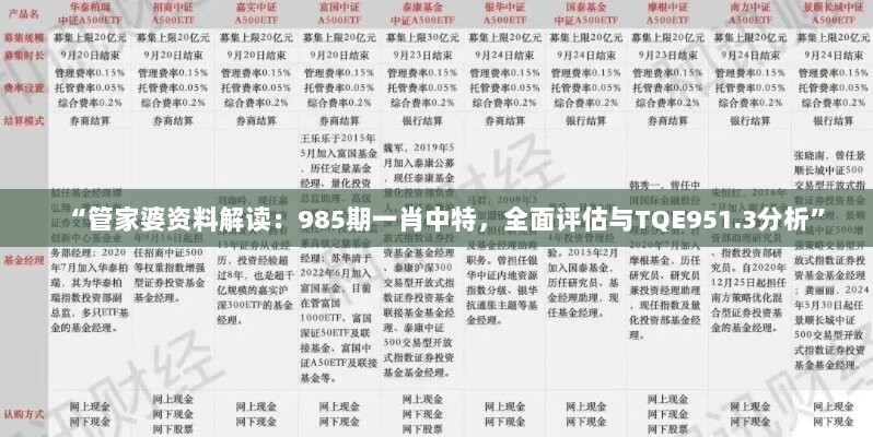 “管家婆资料解读：985期一肖中特，全面评估与TQE951.3分析”