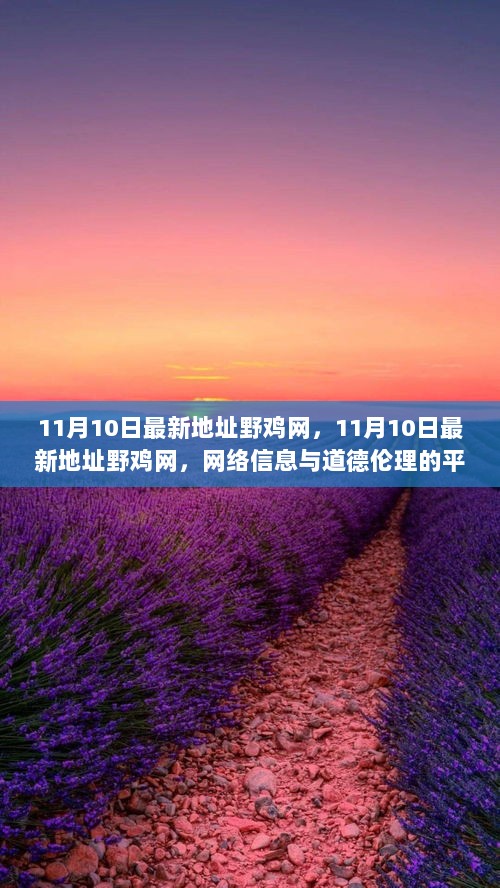 网络信息与道德伦理的平衡探讨，以11月10日最新地址野鸡网为例