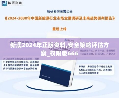 新澳2024年正版资料,安全策略评估方案_权限版666