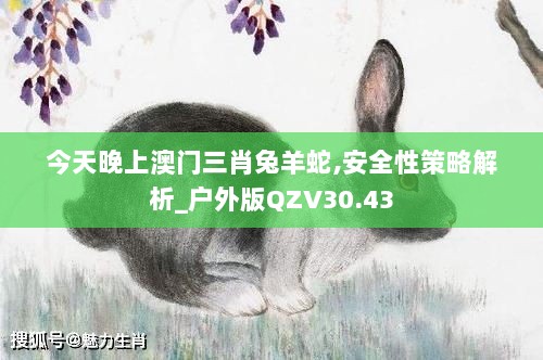 今天晚上澳门三肖兔羊蛇,安全性策略解析_户外版QZV30.43