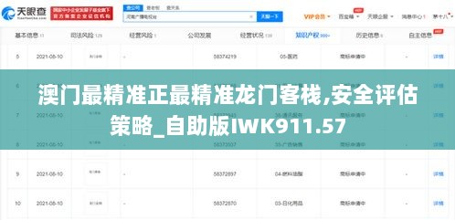 澳门最精准正最精准龙门客栈,安全评估策略_自助版IWK911.57