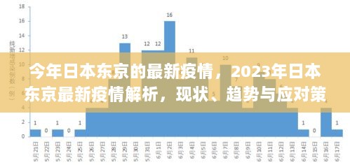 2023年日本东京最新疫情解析，现状、趋势与应对策略