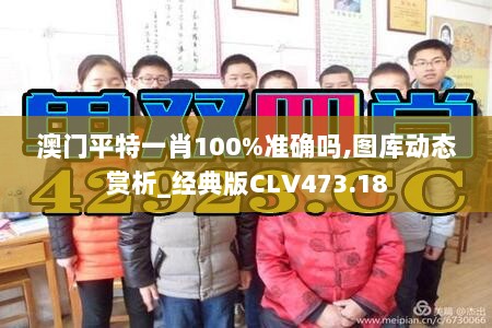 澳门平特一肖100%准确吗,图库动态赏析_经典版CLV473.18