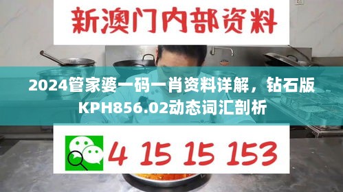 2024管家婆一码一肖资料详解，钻石版KPH856.02动态词汇剖析