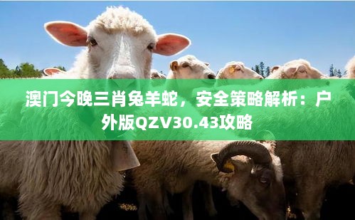 澳门今晚三肖兔羊蛇，安全策略解析：户外版QZV30.43攻略