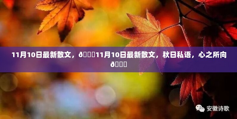 11月10日秋日私语，心之所向的最新散文