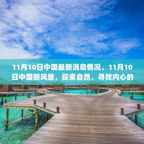 11月10日中国最新消息与自然探索，寻找内心的宁静