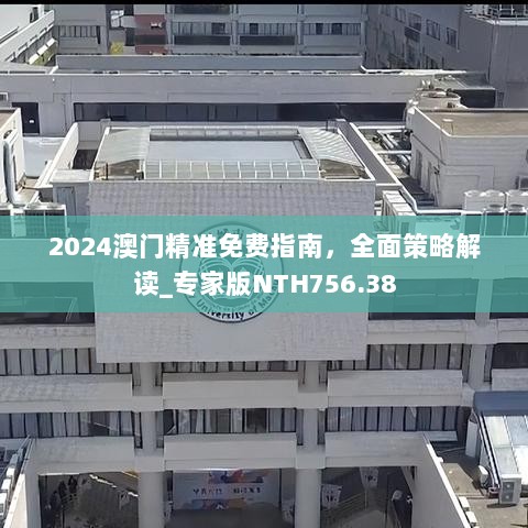 2024澳门精准免费指南，全面策略解读_专家版NTH756.38