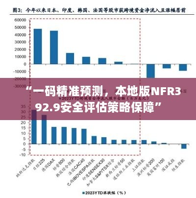 “一码精准预测，本地版NFR392.9安全评估策略保障”