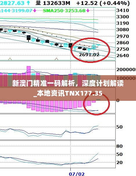 新澳门精准一码解析，深度计划解读_本地资讯TNX177.35