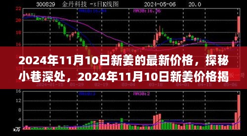 2024年11月10日新姜价格揭秘探秘之旅，深入小巷寻觅最新价格