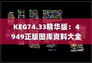 KEG74.33精华版：4949正版图库资料大全深度解析