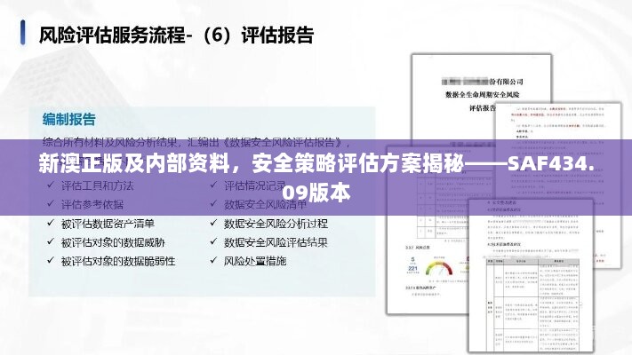 新澳正版及内部资料，安全策略评估方案揭秘——SAF434.09版本