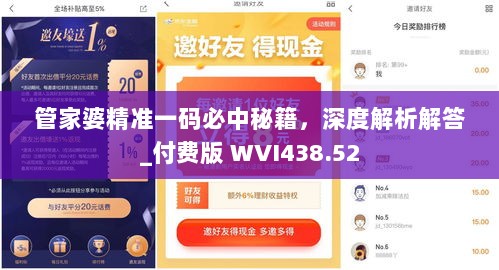 管家婆精准一码必中秘籍，深度解析解答_付费版 WVI438.52