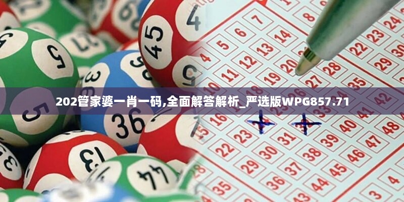 202管家婆一肖一码,全面解答解析_严选版WPG857.71