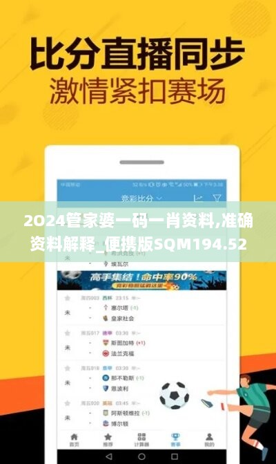 2O24管家婆一码一肖资料,准确资料解释_便携版SQM194.52
