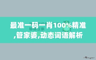 最准一码一肖100%精准,管家婆,动态词语解析_桌面版QFL354.75