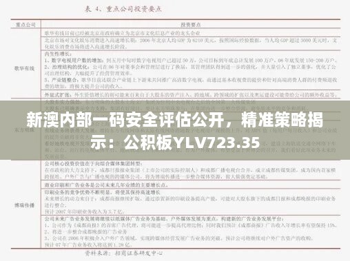 新澳内部一码安全评估公开，精准策略揭示：公积板YLV723.35