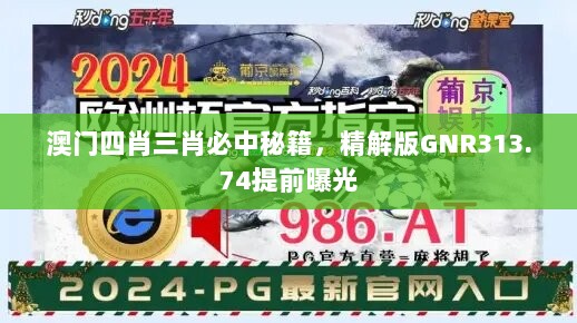 澳门四肖三肖必中秘籍，精解版GNR313.74提前曝光