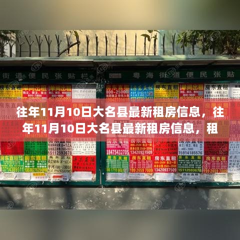 往年11月10日大名县租房市场动态与优质房源解析