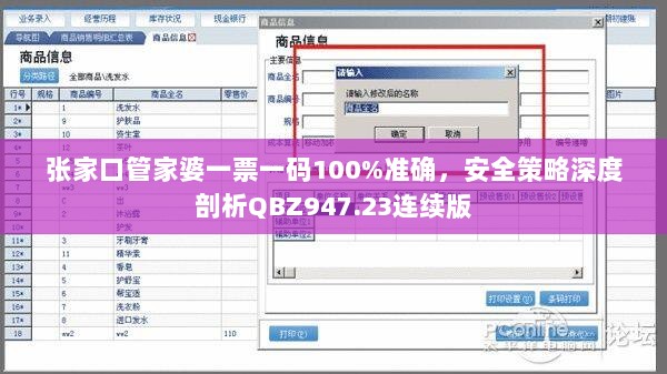 张家口管家婆一票一码100%准确，安全策略深度剖析QBZ947.23连续版