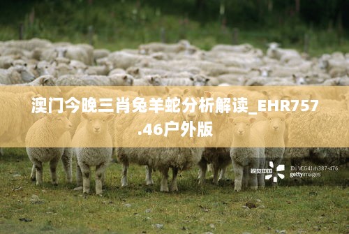 澳门今晚三肖兔羊蛇分析解读_EHR757.46户外版