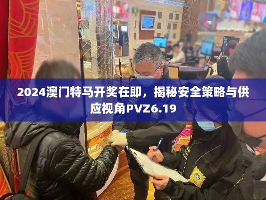 2024澳门特马开奖在即，揭秘安全策略与供应视角PVZ6.19