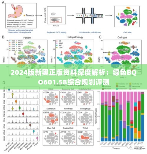 2024版新奥正版资料深度解析：绿色BQO601.58综合规划评测