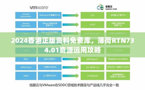 2024香港正版资料免费库，薄荷RTN734.01资源运用攻略