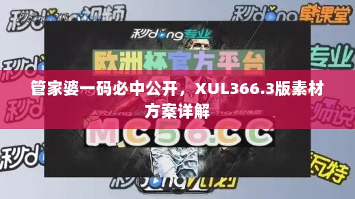 管家婆一码必中公开，XUL366.3版素材方案详解