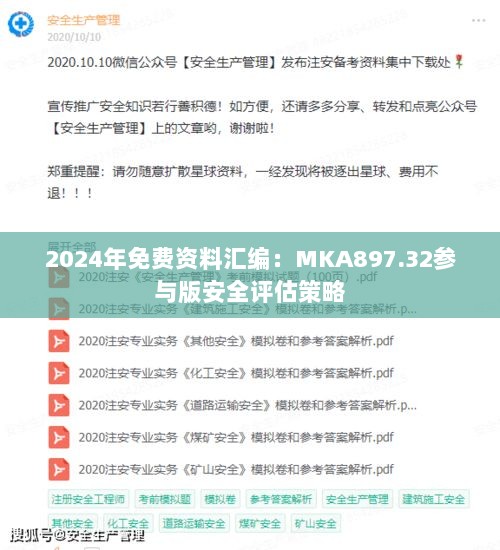 2024年免费资料汇编：MKA897.32参与版安全评估策略