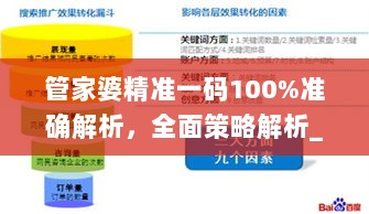 管家婆精准一码100%准确解析，全面策略解析_卓越版TFN164.33