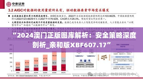 “2024澳门正版图库解析：安全策略深度剖析_亲和版XBF607.17”