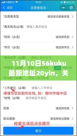 网络非法信息与安全问题的深度探讨，11月10日56kuku最新地址20yin的启示