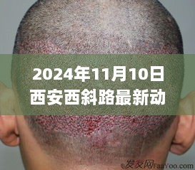 西安西斜路，历史变迁与时代印记的交汇点动态报道（2024年11月10日）