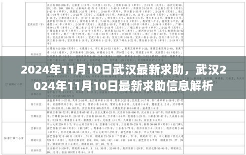 2024年11月10日武汉最新求助信息解析