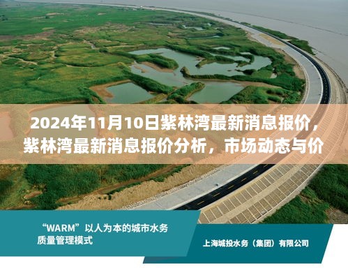 紫林湾最新市场动态与价值评估（2024年11月10日报价分析）