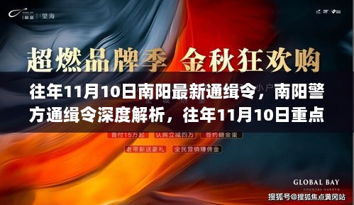 南阳警方往年11月10日通缉令深度解析