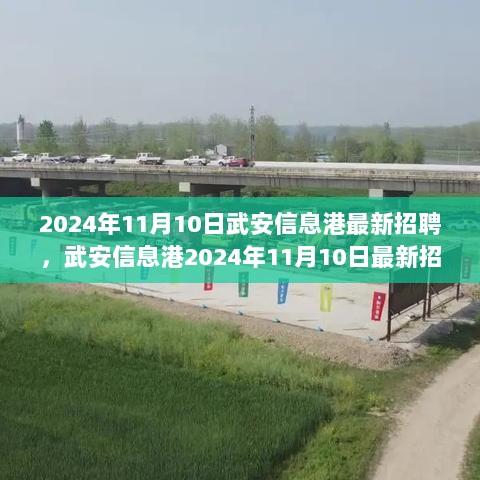 2024年11月10日武安信息港最新招聘指南，高效完成求职任务与技能学习秘籍