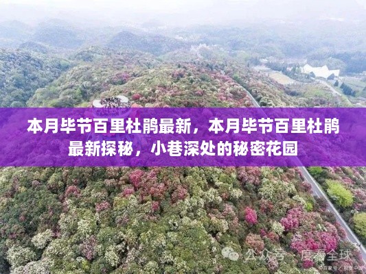 本月毕节百里杜鹃最新探秘，小巷深处的秘密花园